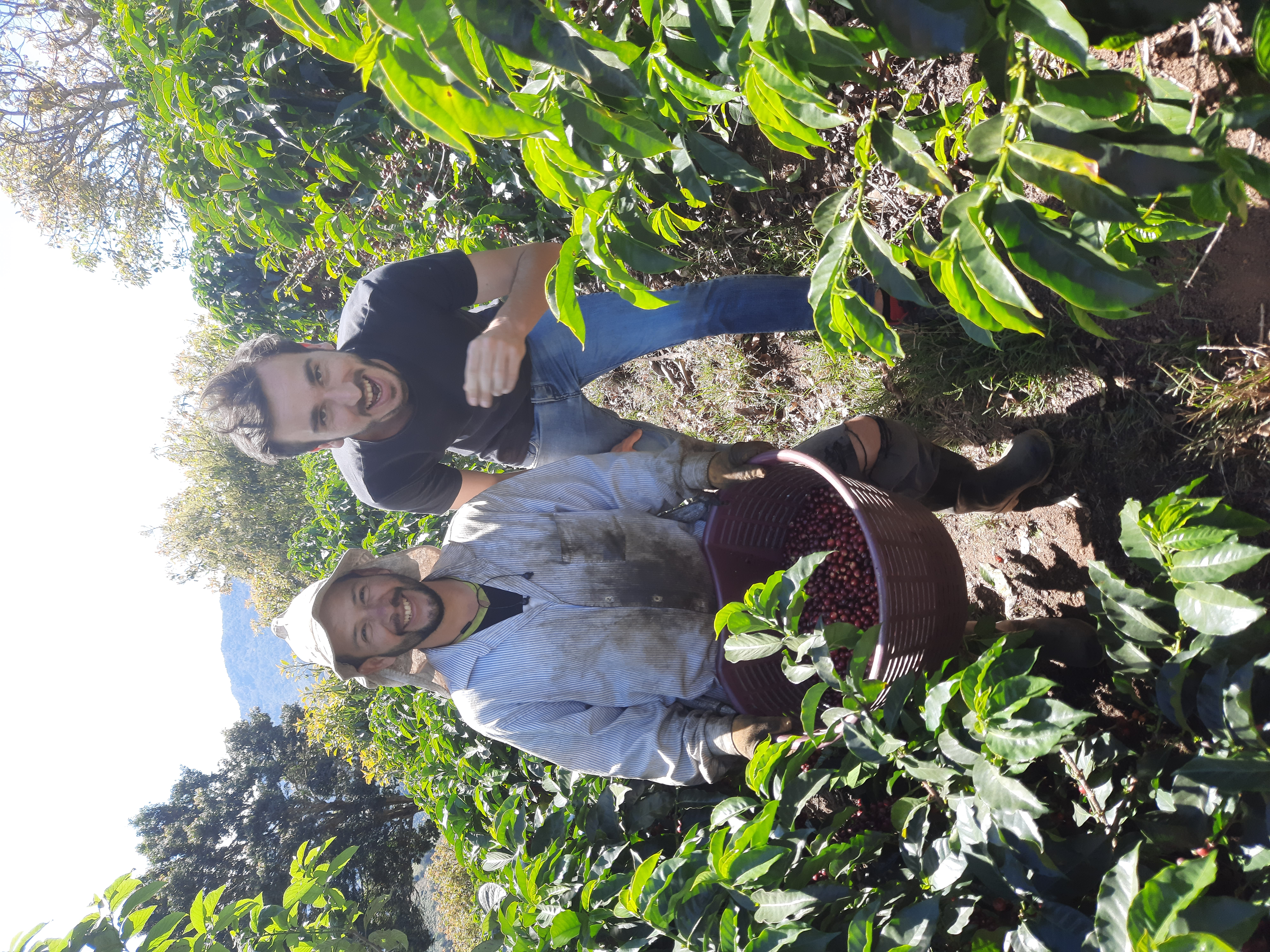 Damien avec un agriculteur dans une plantation de café